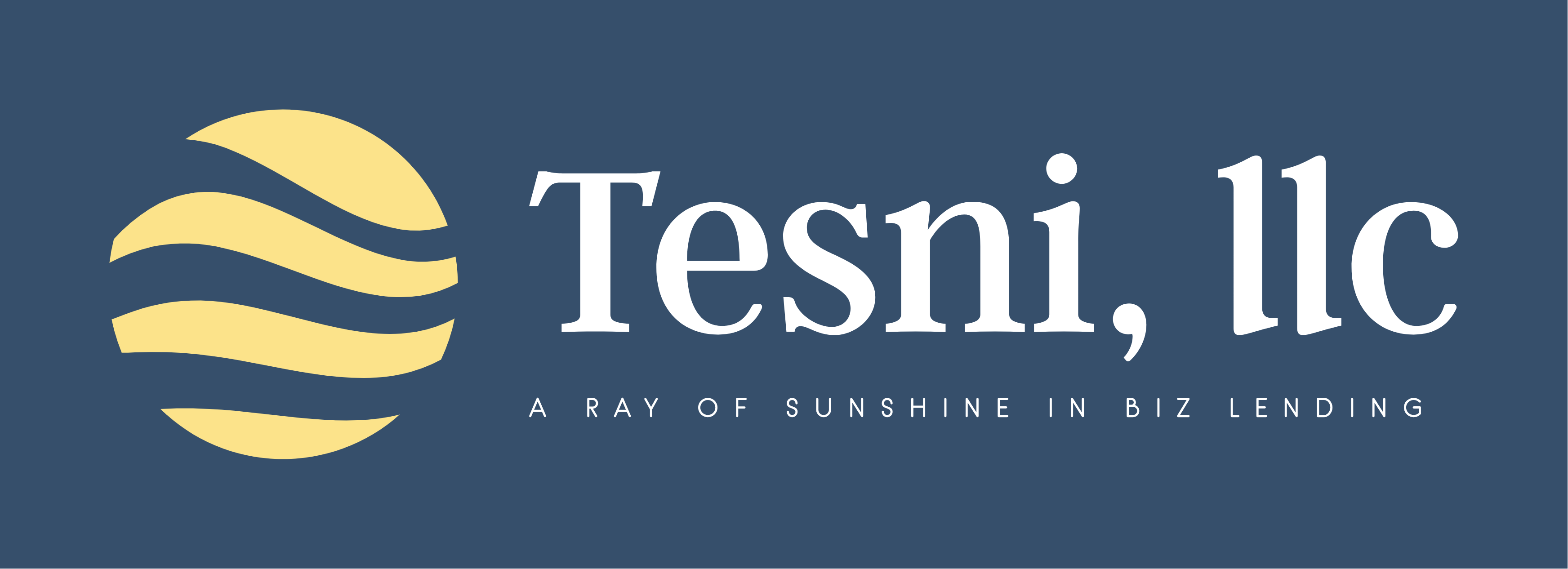 Tesni, llc - A Ray of Sunshine in Biz Lending